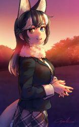 Rule 34 | 1girl, animal ear fluff, animal ears, black hair, blue eyes, breasts, commentary, commentary request, extra ears, from side, fur collar, gloves, grey wolf (kemono friends), heterochromia, highres, kemono friends, large breasts, multicolored hair, plaid neckwear, solo, tail, twilight, two-tone hair, welt (kinsei koutenkyoku), white gloves, white hair, wolf ears, wolf girl, wolf tail, yellow eyes