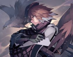 Rule 34 | 1girl, arknights, beret, bird, bird girl, black cloak, brown hair, cloak, closed mouth, commentary request, falcon, gloves, green gloves, hat, looking to the side, multicolored hair, orange eyes, plume (arknights), sasa onigiri, short hair, solo, two-tone hair, upper body