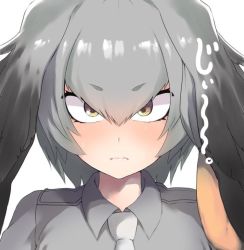 Rule 34 | &gt;:(, 10s, 1girl, bird wings, black hair, blush, brown eyes, closed mouth, collared shirt, dyson (edaokunnsaikouya), frown, grey hair, grey shirt, head wings, kemono friends, looking at viewer, multicolored hair, necktie, orange hair, shirt, shoebill (kemono friends), side ponytail, solo, staring, sweat, upper body, v-shaped eyebrows, white necktie, wings
