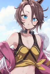 Rule 34 | 1girl, absurdres, animal ears, armpit crease, blue eyes, blue sky, breasts, brown hair, cleavage, cloud, cloudy sky, collarbone, commentary, commentary request, crop top, day, hair between eyes, highres, horse ears, horse girl, jacket, light blush, long sleeves, looking at viewer, medium breasts, medium hair, narita taishin (umamusume), open clothes, open jacket, outdoors, pink jacket, pizzasi, sky, solo, sweat, umamusume, upper body