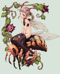 Rule 34 | 1girl, antennae, bad id, bad pixiv id, bee, bottomless, brown eyes, brown hair, bug, fairy, flower, highres, bug, arthropod girl, kajiyama hiroshi, monster girl, short hair, solo, thighhighs