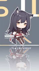 Rule 34 | 1girl, animal ears, arknights, black footwear, black hair, black pantyhose, black shorts, chibi, ear piercing, grey background, highres, holding, holding sword, holding weapon, id card, jacket, long hair, long sleeves, pantyhose, piercing, renren, shoes, shorts, simple background, solo, sword, tail, texas (arknights), thigh strap, weapon, white jacket, wolf ears, wolf girl, wolf tail, yellow eyes