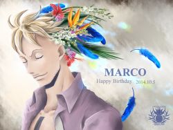 Rule 34 | 1boy, blonde hair, feathers, flower, male focus, marco (one piece), one piece, solo
