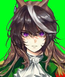 Rule 34 | 1girl, animal ears, ascot, brown hair, cape, closed mouth, coat, earrings, epaulettes, frown, green background, green coat, highres, horse ears, jewelry, long hair, looking at viewer, multicolored hair, portrait, red cape, saibeo tomato, side cape, simple background, single earring, single epaulette, solo, straight-on, streaked hair, symboli rudolf (umamusume), umamusume, v-shaped eyebrows, white ascot, white hair