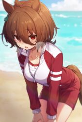 Rule 34 | 1girl, agnes tachyon (umamusume), ahoge, animal ears, beach, blurry, blurry foreground, breasts, breath, brown hair, cloud, collared shirt, day, earrings, feet out of frame, gym uniform, hair between eyes, hands on own thighs, heavy breathing, high collar, highres, horizon, horse ears, horse girl, horse tail, jacket, jewelry, leaning forward, long sleeves, looking at viewer, medium hair, nu tarou (tr84635391), ocean, outdoors, red eyes, red jacket, red shorts, sand, shirt, shorts, single earring, small breasts, solo, sweat, tail, track jacket, umamusume, water, white shirt