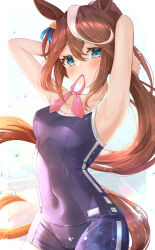 Rule 34 | 1girl, absurdres, adjusting hair, animal ears, arms behind head, black one-piece swimsuit, blue eyes, blush, brown hair, collarbone, cowboy shot, hair between eyes, highres, horse ears, horse girl, horse tail, long hair, looking at viewer, mouth hold, multicolored hair, one-piece swimsuit, ponytail, school swimsuit, sky cappuccino, solo, swimsuit, tail, tokai teio (umamusume), tracen swimsuit, two-tone hair, umamusume, water drop, white hair