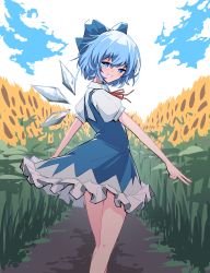 Rule 34 | 1girl, absurdres, blue bow, blue eyes, blue hair, blue sky, blush, bow, cirno, cloud, dirt road, flower, highres, ice, ice wings, looking at viewer, lyrinne, neck ribbon, red ribbon, ribbon, road, short hair, sky, smile, solo, sunflower, touhou, walking, wings