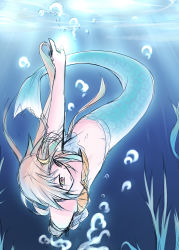 Rule 34 | 1girl, bubble, long hair, mermaid, monster girl, original, sketch, solo, tokiniwa yuuki, underwater, vellark