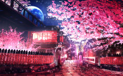 Rule 34 | blue moon, cherry blossoms, fence, highres, kyoto, landscape, moon, night, no humans, original, scenery, smile (qd4nsvik), tree