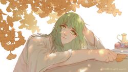 Rule 34 | 1other, androgynous, autumn leaves, dated, dog2333, enkidu (fate), fate/grand order, fate (series), food, fruit, grapes, green eyes, green hair, hand on own head, highres, holding, holding leaf, leaf, long hair, parted lips, robe, solo, teapot, white background, white robe
