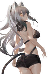 Rule 34 | 1girl, animal ears, arknights, ass, back, bandeau, bare arms, bare shoulders, black shorts, breasts, cat ears, cat girl, cat tail, closed mouth, cowboy shot, grey hair, hair between eyes, highleg, highres, long hair, looking at viewer, looking back, medium breasts, micro shorts, midriff, ponytail, ru zhai, scarf, schwarz (arknights), short shorts, shorts, simple background, solo, strapless, tail, thighs, white background, yellow eyes