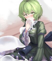 Rule 34 | 1girl, blush, commentary, cross-laced clothes, dress, full body, ghost tail, green dress, green eyes, green hair, green nails, highres, juliet sleeves, long sleeves, looking at viewer, ofuda, ofuda on clothes, puffy sleeves, pygrenix, short hair, soga no tojiko, solo, touhou