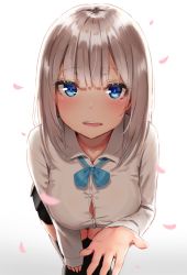 Rule 34 | 1girl, backlighting, black skirt, black thighhighs, blue eyes, blue ribbon, blush, breasts, button gap, buttons, cleavage, collarbone, collared shirt, dress shirt, feet out of frame, gradient background, highres, large breasts, leaning forward, long hair, long sleeves, looking at viewer, miniskirt, neck ribbon, original, parted lips, petals, pleated skirt, reinama, ribbon, school uniform, shirt, silver hair, skirt, sleeves past wrists, solo, standing, teeth, thighhighs, white background, white shirt, zettai ryouiki