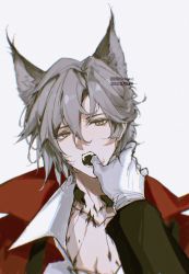 Rule 34 | 1boy, 1other, 57friend, animal ears, arknights, cape, cat boy, cat ears, commentary, dated, doctor (arknights), english commentary, fangs, finger in another&#039;s mouth, gloves, grey background, grey hair, hair between eyes, highres, long sleeves, male focus, material growth, open mouth, orange eyes, oripathy lesion (arknights), phantom (arknights), phantom (focus) (arknights), simple background, twitter username, upper body, white gloves