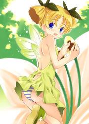 Rule 34 | 1girl, ass, back, backless dress, backless outfit, bare back, bare legs, bare shoulders, blonde hair, blue eyes, blush, breasts, dress, fairy, female focus, flower, hair ribbon, kurasuke, looking at viewer, mini person, minigirl, no bra, open mouth, original, panties, pantyshot, ribbon, short dress, short hair, short twintails, small breasts, socks, solo, striped clothes, striped panties, twintails, underwear, upskirt, wings