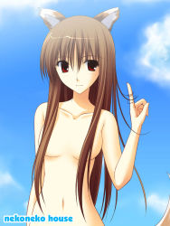 Rule 34 | 00s, animal ears, cloud, day, holo, nude, outdoors, sky, solo, spice and wolf, takepon, wolf ears, zenra