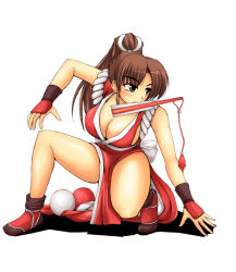 Rule 34 | 1girl, breasts, cleavage, fatal fury, hand fan, large breasts, long hair, mouth hold, pelvic curtain, shiranui mai, snk, solo, the king of fighters