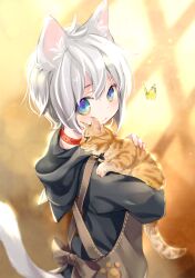 Rule 34 | 1girl, animal, animal ear fluff, animal ears, animal on shoulder, apron, black hoodie, blue eyes, blush, brown apron, bug, butterfly, cat, cat ears, cat girl, cat tail, closed mouth, collar, commentary request, eyebrows hidden by hair, from behind, grey hair, hair between eyes, hood, hood down, hoodie, insect, kuga tsukasa, looking at viewer, looking to the side, original, red collar, solo, tail