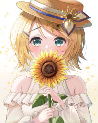 Rule 34 | 1girl, aqua eyes, bare shoulders, blonde hair, blue ribbon, blush, boater hat, brown hat, commentary, covered mouth, dot nose, dress, flower, frilled dress, frilled sleeves, frills, hair flower, hair ornament, hairclip, hat, hat flower, hat ornament, hat ribbon, highres, holding, holding flower, kagamine rin, long sleeves, looking at viewer, off-shoulder dress, off shoulder, portrait, project sekai, ribbon, shirafune, short hair, simple background, straight-on, sunflower, swept bangs, vocaloid, white background, white dress, white ribbon, yellow flower