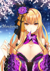 Rule 34 | 1girl, alternate costume, bare shoulders, blonde hair, bow, breasts, cherry blossoms, cleavage, corset, detached sleeves, dress, flower, frilled sleeves, frills, hair flower, hair ornament, highres, large breasts, long hair, looking at viewer, mouth hold, night, night sky, purple rose, ribbon, roh nam kyung, rose, sky, smile, solo, sparkle, star (sky), starry sky, touhou, yakumo yukari, yellow eyes