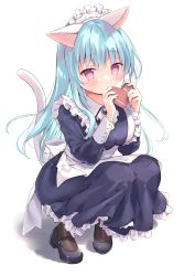Rule 34 | 1girl, amanagi seiji, animal ear fluff, animal ears, apron, black footwear, black pantyhose, blue dress, blue hair, blush, breasts, candy, cat ears, cat girl, cat tail, chocolate, chocolate heart, dress, food, heart, highres, large breasts, long hair, maid day, maid headdress, original, pantyhose, pink eyes, shoes, simple background, solo, squatting, tail, white apron, white background