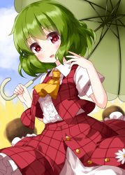 Rule 34 | 1girl, :d, ascot, blue sky, cloud, collared shirt, cowboy shot, flower, green hair, green umbrella, highres, holding, holding umbrella, kazami yuuka, looking at viewer, open mouth, plaid, plaid skirt, plaid vest, puffy short sleeves, puffy sleeves, red eyes, red skirt, red vest, ruu (tksymkw), shirt, short hair, short sleeves, skirt, sky, smile, solo, standing, sunflower, touhou, umbrella, vest, white flower, white shirt, yellow ascot, yellow flower