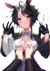 Rule 34 | 1girl, ahoge, animal ears, black gloves, black hair, black jacket, black neckwear, blue eyes, blush, breasts, cleavage, collared shirt, commentary request, fuji kiseki (umamusume), gloves, hands up, heart, highres, holding necktie, horse ears, horse girl, jacket, large breasts, long sleeves, looking at viewer, mikazuki mika, multicolored hair, necktie, no bra, open clothes, open jacket, open shirt, parted lips, partially unbuttoned, pov, shirt, short hair, simple background, smile, solo focus, streaked hair, translation request, umamusume, undone necktie, upper body, white background, white hair, white shirt