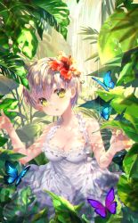 Rule 34 | 1girl, :o, bare arms, bare shoulders, blush, breasts, bug, butterfly, cleavage, collarbone, commentary request, cowboy shot, day, dress, flower, frilled dress, frills, hair flower, hair ornament, hibiscus, highres, insect, leaf, looking at viewer, medium breasts, mintchoco (orange shabette), open mouth, original, outdoors, plant, red flower, short hair, silver hair, solo, sundress, sunlight, water, white dress, yellow eyes