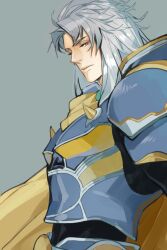 Rule 34 | 1boy, armor, belt, blue armor, blue belt, breastplate, cape, expressionless, final fantasy, final fantasy i, from side, full armor, grey background, grey hair, highres, long hair, male focus, nini tw99, pauldrons, purple eyes, shoulder armor, simple background, solo, spiked armor, warrior of light (ff1), white hair, yellow cape