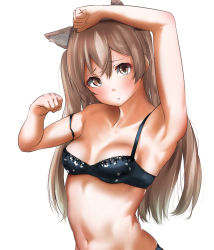 Rule 34 | 1girl, animal ears, armpits, black bra, blush, bra, breasts, brown eyes, closed mouth, dog ears, hair between eyes, highres, johnston (kancolle), kantai collection, light brown hair, long hair, looking at viewer, navel, simple background, small breasts, solo, tama (tamago), twintails, two side up, underwear, white background