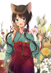 Rule 34 | 1girl, :d, animal, animal ears, aqua eyes, aqua kimono, bamboo, cat ears, cat girl, cat tail, cowboy shot, fang, floral background, flower, hair ribbon, hakama, hakama skirt, holding, holding animal, holding flower, japanese clothes, kimono, long sleeves, looking at viewer, midorikawa you, mouse (animal), open mouth, original, pink flower, red hakama, red ribbon, ribbon, shirt, skin fang, skirt, smile, solo, tail, tassel, twintails, white background, white flower, wide sleeves, yellow shirt