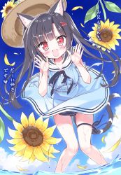 Rule 34 | 1girl, animal ear fluff, animal ears, arms up, black hair, blue dress, blue one-piece swimsuit, blush, cat ears, cat tail, clothes lift, cloud, commentary request, day, dokidoki sister aoi-chan, dress, dress lift, flower, from below, hair ornament, hairclip, hat, unworn headwear, highres, knees together feet apart, kohinata aoi (dokidoki sister aoi-chan), legs, long hair, looking down, one-piece swimsuit, open mouth, original, outdoors, red eyes, school swimsuit, sky, sleeveless, sleeveless dress, smile, solo, sun hat, sundress, sunflower, swimsuit, swimsuit under clothes, tail, takahashi tetsuya, thigh gap, thighs, translation request, twintails, very long hair, wading, water, waving, wind, wind lift
