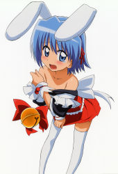 Rule 34 | 00s, 1boy, absurdres, animal ears, ayasaki hayate, bell, blue eyes, blue hair, blush, crossdressing, hayate no gotoku!, highres, jingle bell, male focus, matching hair/eyes, non-web source, open mouth, rabbit ears, short hair, solo, tears, thighhighs, trap, undressing, white thighhighs, wrist cuffs