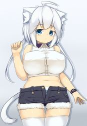Rule 34 | 1girl, ahoge, animal ears, bare shoulders, belly, blue eyes, blush, breasts, bursting breasts, cat ears, cat girl, cat tail, covered erect nipples, crop top, expressionless, felt whitesnow, female focus, frown, highres, large breasts, looking at viewer, midriff, original, panties, plump, pout, puffy nipples, sawati, short hair, short hair with long locks, short shorts, shorts, solo, striped clothes, striped panties, tail, tareme, thigh gap, thighhighs, unbuttoned, underwear, unzipped, watch, white hair, wide hips, wristwatch, zettai ryouiki