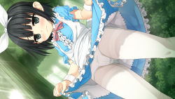 Rule 34 | 1girl, alice (alice in wonderland), alice (alice in wonderland) (cosplay), aqua eyes, arishima alice, black hair, blush, clothes lift, cosplay, crotch seam, cura, day, dress, dress lift, dutch angle, embarrassed, flat (company), forest, game cg, green eyes, highres, monobeno, nature, official art, outdoors, panties, panties over pantyhose, panties under pantyhose, pantyhose, ribbon, short hair, short sleeves, skirt, skirt lift, solo, tears, thighband pantyhose, underwear, white panties, white pantyhose, wrist cuffs