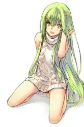 Rule 34 | androgynous, bad id, bad twitter id, blush, enkidu (fate), fate/strange fake, fate (series), full body, gender request, green eyes, green hair, long hair, looking at viewer, meme attire, open mouth, simple background, smile, solo, very long hair, virgin killer sweater, wanko (takohati8), white background