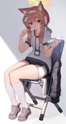 Rule 34 | 1girl, absurdres, animal ear fluff, animal ears, black shorts, blue archive, blue eyes, blush, bottle, brown hair, cat ears, chair, flower, gradient background, grey background, gym uniform, hachirodesu, hair flower, hair ornament, hairband, halo, headband, highres, holding, holding bottle, jacket, kneehighs, long hair, looking at viewer, mari (blue archive), mari (track) (blue archive), official alternate costume, orange hair, shoes, short sleeves, shorts, sitting, socks, solo, sweat, tongue, water bottle