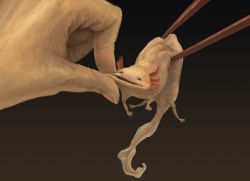 Rule 34 | animal, axolotl, cheek pinching, chopsticks, hand focus, highres, kodama (artist), original, pinching, salamander