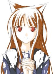 Rule 34 | 00s, animal ears, holo, ribi, solo, spice and wolf, tagme, wolf ears