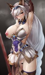 Rule 34 | 1girl, animal ears, armor, armored dress, armpits, arms up, bar censor, blush, braid, breasts, brown eyes, cat ears, censored, detached collar, dress, granblue fantasy, hair ornament, heles, highres, large breasts, long hair, looking at viewer, low-braided long hair, low-tied long hair, nipples, one breast out, short dress, silver hair, single braid, solo, sowel (sk3), thighhighs, torn clothes, very long hair