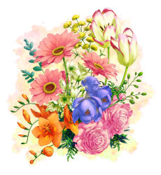 Rule 34 | flower, flower request, multicolored background, no humans, original, pink flower, pink rose, rose, tsushima shuu, tulip