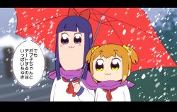 Rule 34 | 10s, 2girls, :3, bkub (style), blush, bow, hair bow, hair ornament, hair scrunchie, letterboxed, meme, multiple girls, neckerchief, official style, pipimi, poptepipic, popuko, red neckerchief, scarf, school uniform, scrunchie, serafuku, shared clothes, shared scarf, shared umbrella, sidelocks, snow, snowing, special feeling (meme), totora, two side up, umbrella, yellow scrunchie