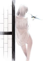 Rule 34 | 1girl, ass, back, bird, blonde hair, from behind, lingerie, negligee, no panties, see-through, solo, sousou (sousouworks), standing, thigh gap, underwear