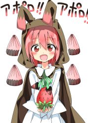 Rule 34 | 1girl, absurdres, apollo chocolate, bad id, bad pixiv id, blush, chocolate, food, fruit, highres, looking at viewer, open mouth, original, personification, pink eyes, pink hair, revision, short hair, simple background, smile, solo, strawberry, tantan men (dragon), translated, white background
