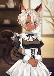 Rule 34 | 1girl, animal ears, apron, black ribbon, blue eyes, blush, bookshelf, breasts, cat ears, cat girl, cat tail, closed mouth, collar, commentary request, corset, cup, dark-skinned female, dark skin, dress, frilled shirt collar, frills, indoors, juliet sleeves, long sleeves, looking at viewer, maid, maid apron, medium breasts, neck ribbon, original, own hands together, puffy sleeves, ribbon, short hair, solo, standing, tail, teacup, teapot, underbust, upper body, white apron, white hair, window, yakibird