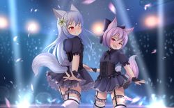 Rule 34 | 2girls, absurdres, animal ears, black legwear, blurry, blurry background, blush, commentary, english commentary, fangs, flower, fox ears, fox tail, garter straps, hair flower, hair ornament, highres, hotel01, idol, long hair, multiple girls, one eye closed, open mouth, original, pink hair, red eyes, short hair, silver hair, sorbet (hotel01), tail, thighhighs, vanille (hotel01), wolf ears, wolf tail