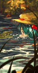 Rule 34 | 1girl, blue hair, blurry, blurry foreground, bubble, flat cap, frog, from side, hair bobbles, hair ornament, hat, highres, huang gua, kawashiro nitori, leaf, lily pad, looking at another, outdoors, partially submerged, plant, red eyes, touhou, two side up, water, yellow headwear