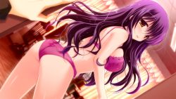 Rule 34 | 1girl, ass, blush, bra, breasts, dutch angle, game cg, large breasts, lingerie, long hair, looking back, master&times;re:master, ninoko, panties, purple bra, purple hair, purple panties, red eyes, shingyouji saeka, solo, underwear, underwear only, yellow eyes