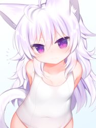 Rule 34 | 1girl, :3, ahoge, animal ear fluff, animal ears, arms behind back, blue background, blush, cat ears, cat girl, cat tail, closed mouth, collarbone, commentary, gradient background, hair between eyes, head tilt, highres, long hair, mofuaki, one-piece swimsuit, original, purple eyes, purple hair, school swimsuit, shiro (mofuaki), smile, solo, swimsuit, tail, tail raised, very long hair, white background, white one-piece swimsuit