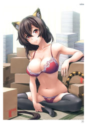 Rule 34 | 1girl, absurdres, animal ears, arm rest, armpits, artist name, bad anatomy, bare arms, bare shoulders, black thighhighs, blush, book, book stack, border, box, bra, breasts, bridal gauntlets, cardboard box, cleavage, collarbone, hair between eyes, head tilt, highres, indian style, large breasts, lips, long hair, looking at viewer, navel, no shoes, page number, panties, red bra, red eyes, red panties, scan, simple background, sitting, skindentation, smile, soba (saz), solo, stomach, tail, tatami, thighhighs, tiger ears, tiger tail, toranoana, underwear, underwear only, very long hair, white background, white border